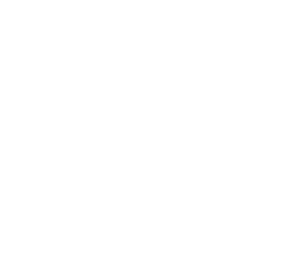 DGSF